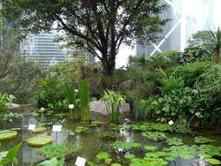 Parque de Hong Kong