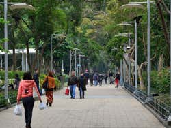 Parque Victoria